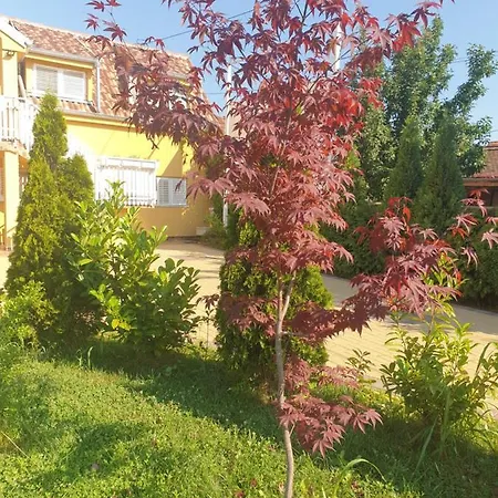 Apartamento Golden House